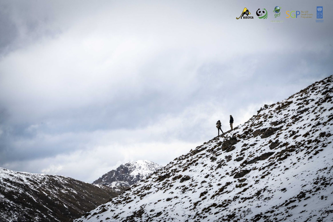 闽南雪豹队鏖战关中暴熊队,斯诺克半决赛失利,核心复出即建功。重拾自信的夜晚的简单介绍 闽南雪豹队鏖战关中暴熊队,斯诺克半决赛失利,核心复出即建功。重拾自信的夜晚的简单介绍